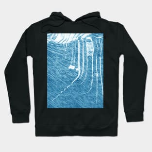 rice field in cyan Hoodie